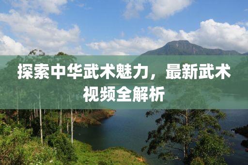 探索中华武术魅力，最新武术视频全解析