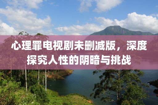 心理罪电视剧未删减版，深度探究人性的阴暗与挑战