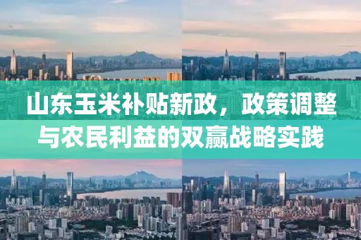 山东玉米补贴新政，政策调整与农民利益的双赢战略实践