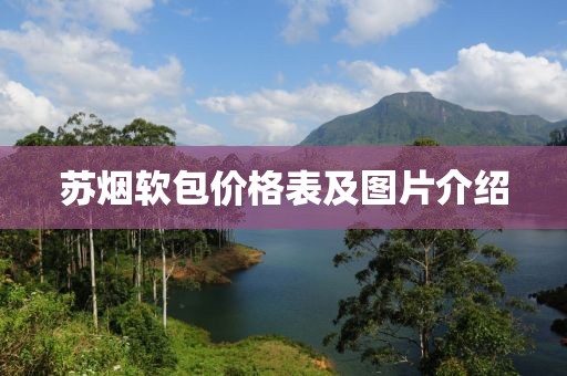 苏烟软包价格表及图片介绍
