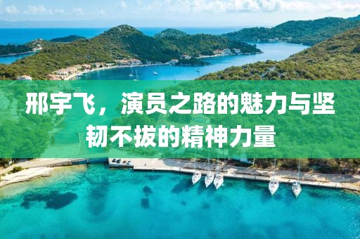 邢宇飞，演员之路的魅力与坚韧不拔的精神力量