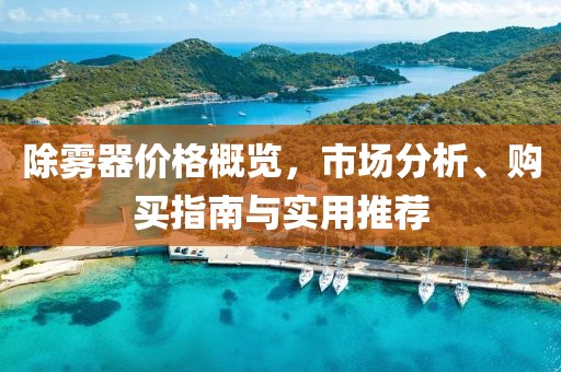 除雾器价格概览，市场分析、购买指南与实用推荐
