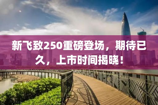 新飞致250重磅登场，期待已久，上市时间揭晓！
