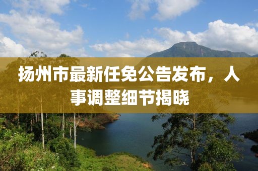 扬州市最新任免公告发布，人事调整细节揭晓