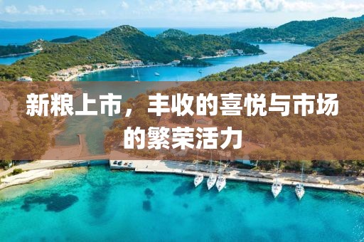 新粮上市，丰收的喜悦与市场的繁荣活力