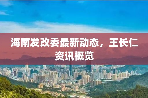 海南发改委最新动态，王长仁资讯概览