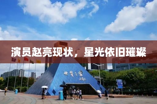 演员赵亮现状，星光依旧璀璨