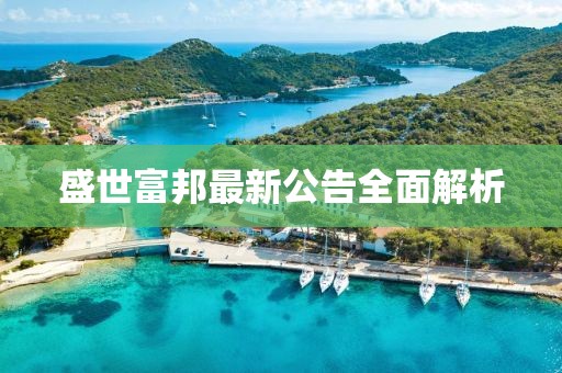 盛世富邦最新公告全面解析