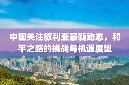 中国关注叙利亚最新动态，和平之路的挑战与机遇展望
