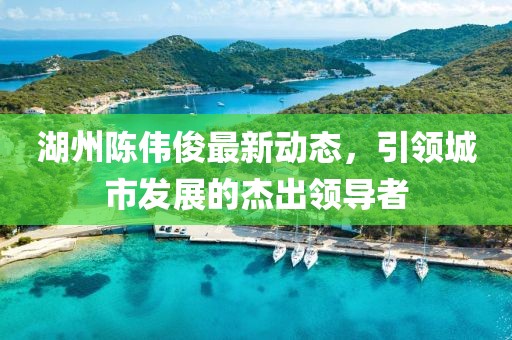 湖州陈伟俊最新动态，引领城市发展的杰出领导者