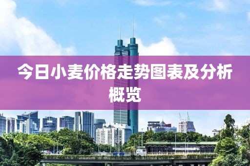 今日小麦价格走势图表及分析概览
