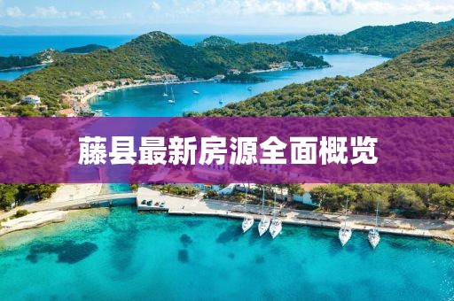 藤县最新房源全面概览