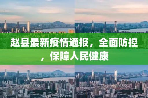 赵县最新疫情通报，全面防控，保障人民健康