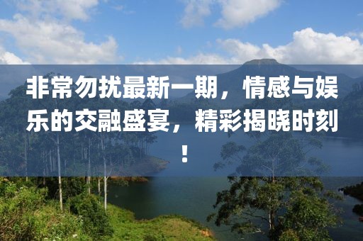 非常勿扰最新一期，情感与娱乐的交融盛宴，精彩揭晓时刻！