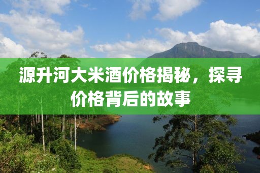 源升河大米酒价格揭秘，探寻价格背后的故事