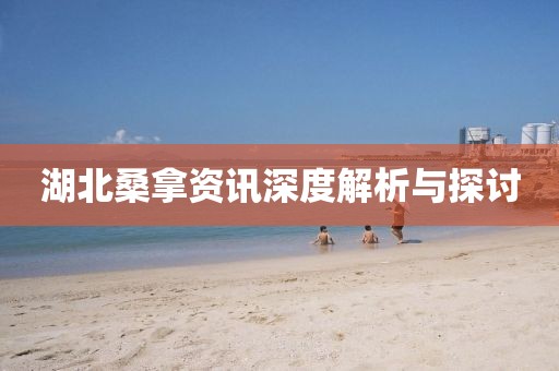 湖北桑拿资讯深度解析与探讨
