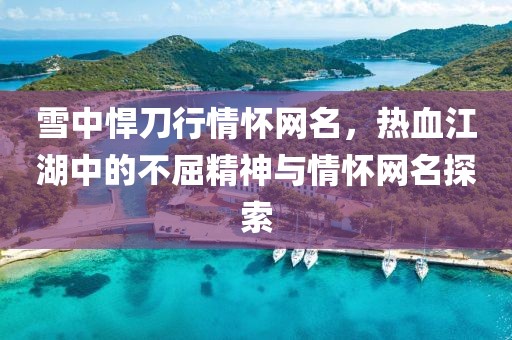 雪中悍刀行情怀网名，热血江湖中的不屈精神与情怀网名探索