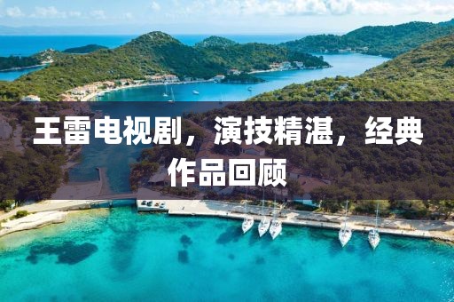王雷电视剧，演技精湛，经典作品回顾