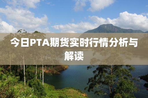 今日PTA期货实时行情分析与解读