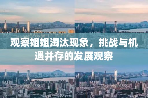 观察姐姐淘汰现象，挑战与机遇并存的发展观察