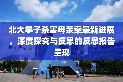 北大学子杀害母亲案最新进展，深度探究与反思的反思报告呈现