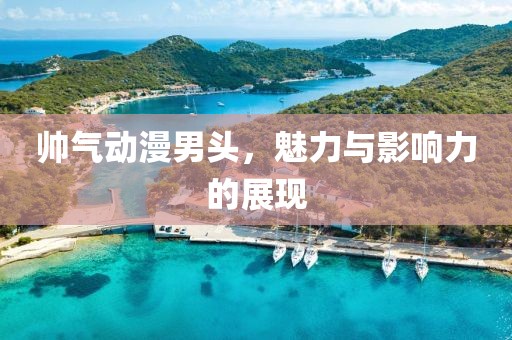 帅气动漫男头，魅力与影响力的展现