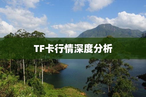 紫珺婳浅 第11页