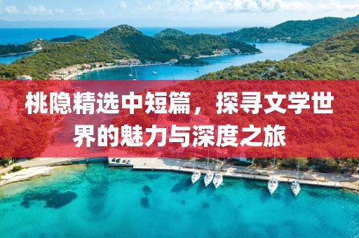 桃隐精选中短篇，探寻文学世界的魅力与深度之旅