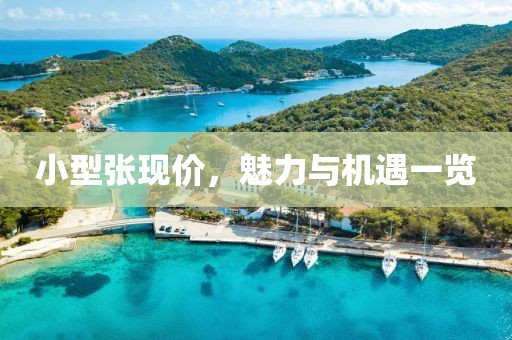 小型张现价，魅力与机遇一览