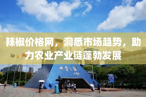 辣椒价格网，洞悉市场趋势，助力农业产业链蓬勃发展