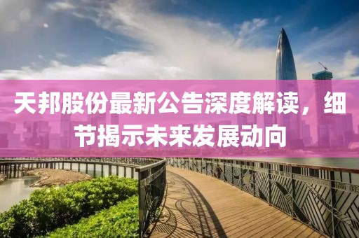 天邦股份最新公告深度解读，细节揭示未来发展动向