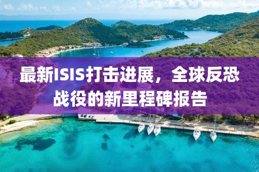 最新ISIS打击进展，全球反恐战役的新里程碑报告