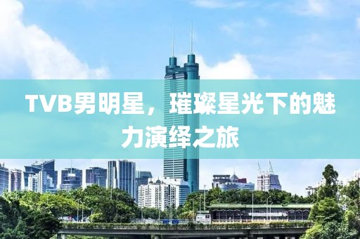 TVB男明星，璀璨星光下的魅力演绎之旅