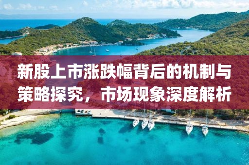新股上市涨跌幅背后的机制与策略探究，市场现象深度解析
