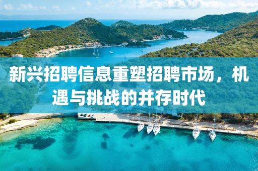 新兴招聘信息重塑招聘市场，机遇与挑战的并存时代