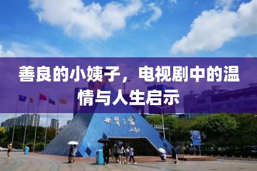 善良的小姨子，电视剧中的温情与人生启示