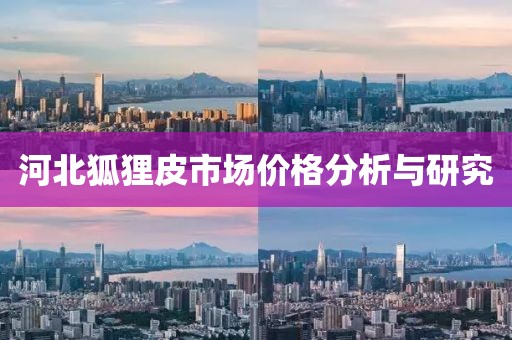 河北狐狸皮市场价格分析与研究