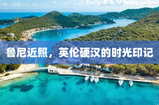 悦心自足 第10页