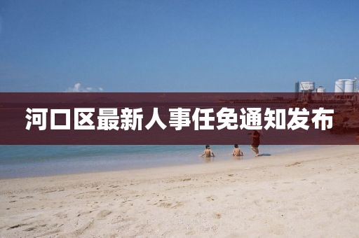 河口区最新人事任免通知发布
