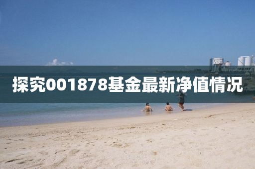 探究001878基金最新净值情况
