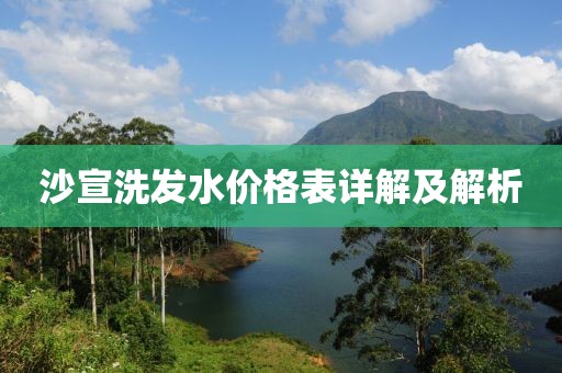 沙宣洗发水价格表详解及解析