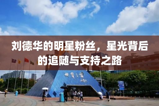 刘德华的明星粉丝，星光背后的追随与支持之路