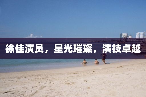 徐佳演员，星光璀璨，演技卓越