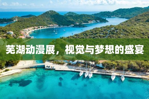 芜湖动漫展，视觉与梦想的盛宴