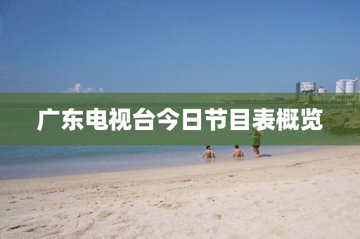 广东电视台今日节目表概览