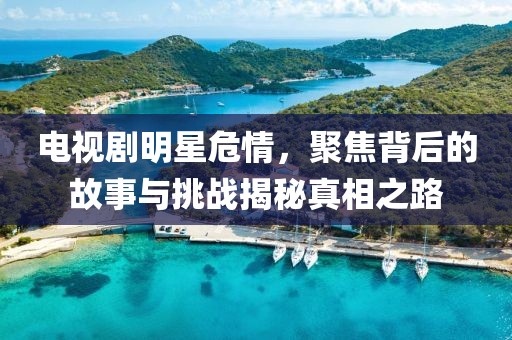 电视剧明星危情，聚焦背后的故事与挑战揭秘真相之路