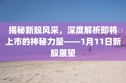 揭秘新股风采，深度解析即将上市的神秘力量——1月11日新股展望
