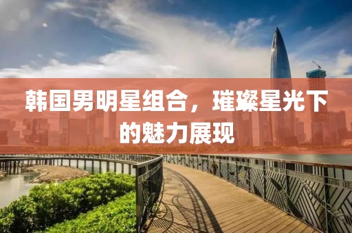 韩国男明星组合，璀璨星光下的魅力展现