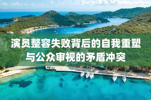 演员整容失败背后的自我重塑与公众审视的矛盾冲突