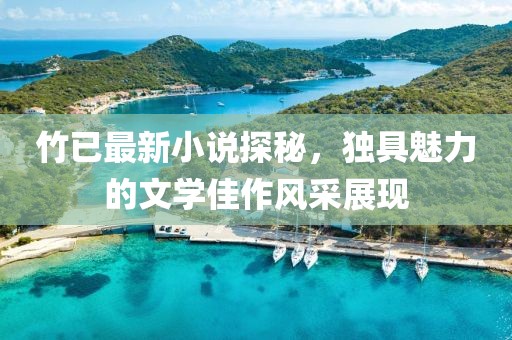 竹已最新小说探秘，独具魅力的文学佳作风采展现